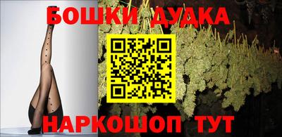 apvp Гусиноозёрск